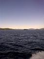 Camera10_06 002